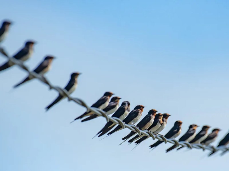 Is there an “eye” in&nbsp;AI?